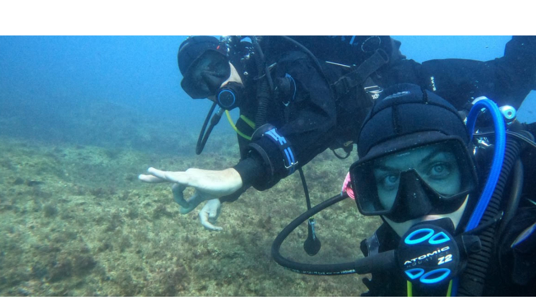 Scuba: Speaking the Silent Language - SaltyDescents